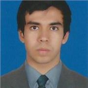 Contador público profesional